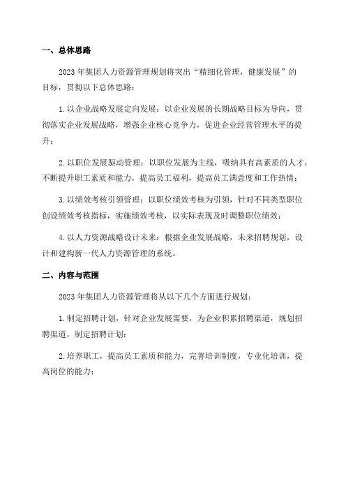 2024年集团人力资源管理规划