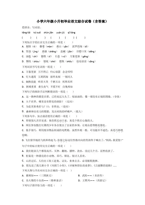 小学六年级小升初毕业语文综合试卷(含答案)[001]