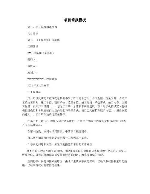 项目简报模板