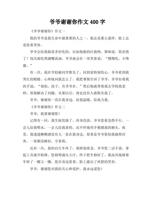 爷爷谢谢你作文400字