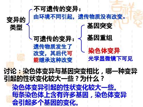 染色体变异与基因突变相比