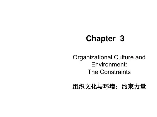 管理学英文版课件 组织文化与环境 Organizational Culture and Environment