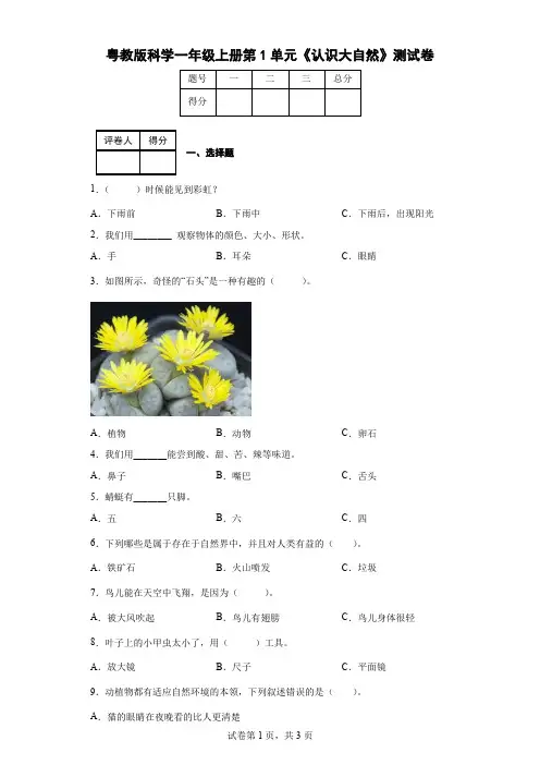 粤教版科学一年级上册第1单元《认识大自然》测试卷