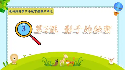 影子的秘密 ppt课件