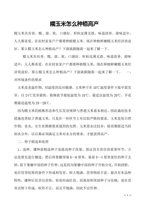 糯玉米怎么种植高产