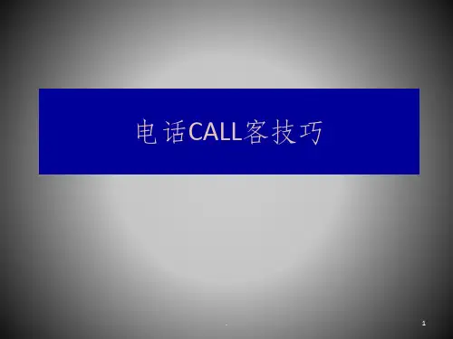 电话CALL客技巧ppt课件