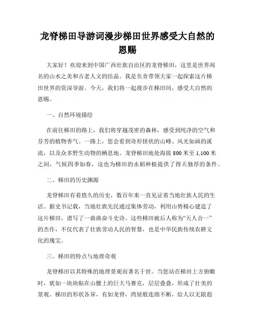 龙脊梯田导游词漫步梯田世界感受大自然的恩赐