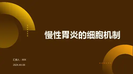慢性胃炎ppt课件模板