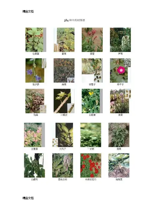 (整理)384种中药材图谱.