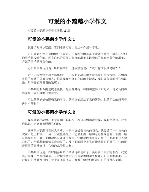 可爱的小鹦鹉小学作文