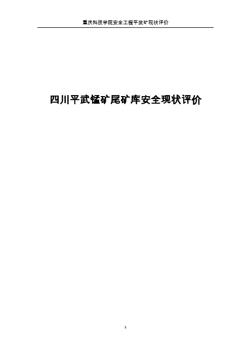 尾矿库安全现状评价范本