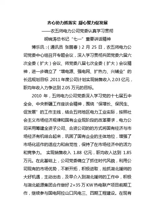 齐心协力抓落实 凝心聚力促发展