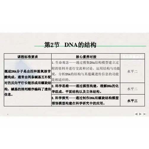 高中生物新人教版必修2DNA的结构课件(37张)