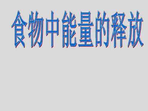 七年级生物下册101食物中能量的释放课件1北师大版