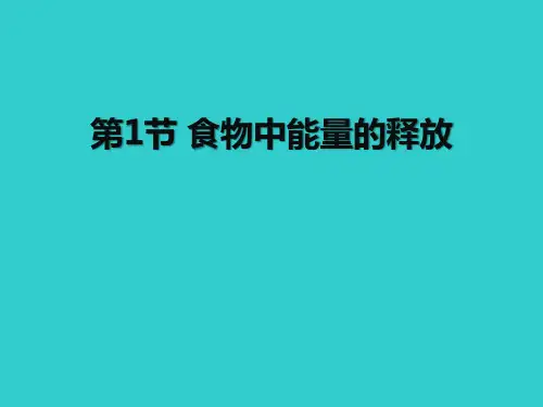《食物中能量的释放》教学课件-北师大版七年级生物下册PPT课件
