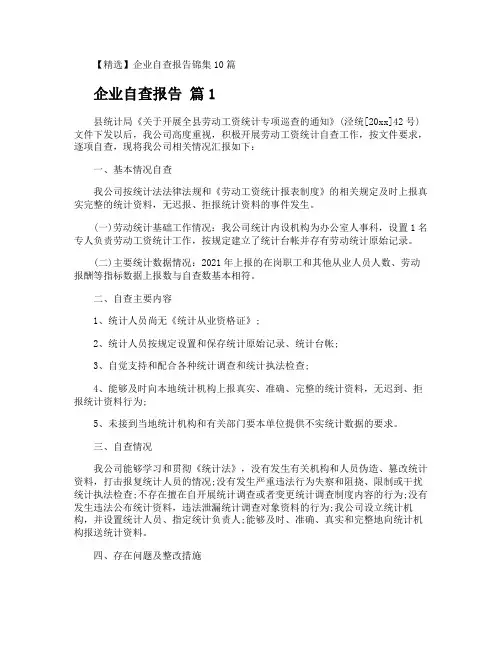 企业自查报告