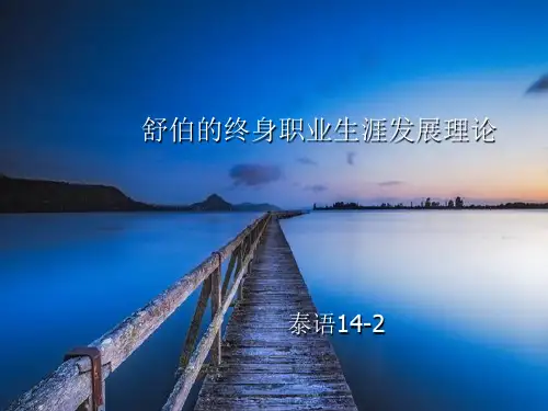 舒伯的终身职业生涯规划【精选】