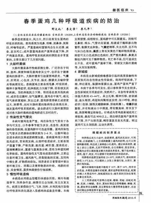 春季蛋鸡几种呼吸道疾病的防治