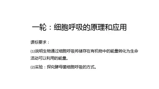 高三一轮复习生物细胞呼吸的原理和应用课件