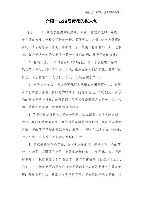 介绍一些描写荷花的拟人句