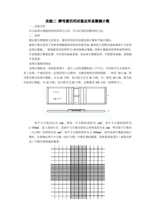 酵母菌死活鉴定和显微镜检测