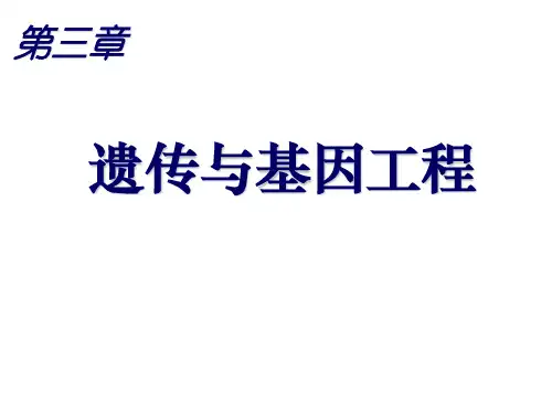 高中生物-细胞质遗传
