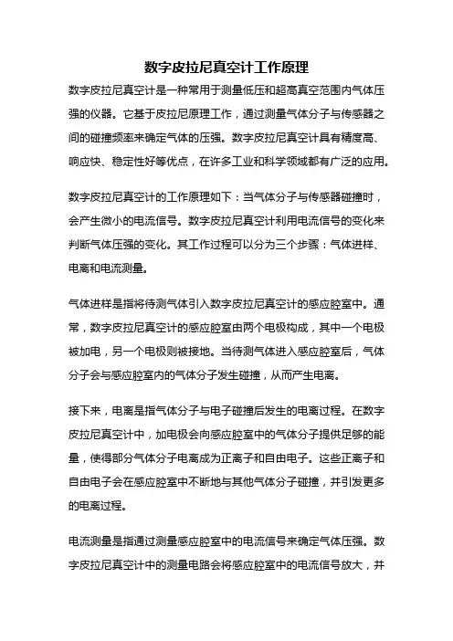 数字皮拉尼真空计工作原理