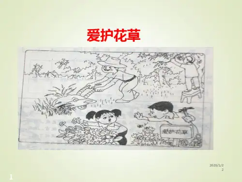 最新人教部编版小学二年级下册语文精品课件看图写话集(完整版有例文)