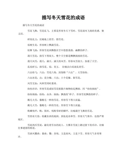 描写冬天雪花的成语