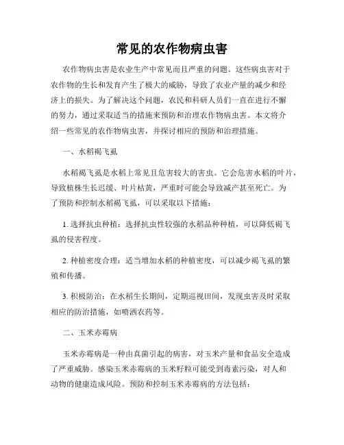 常见的农作物病虫害