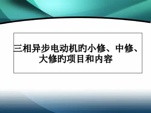 电机大中小修内容