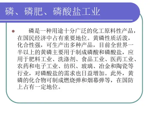 磷化工讲课课件