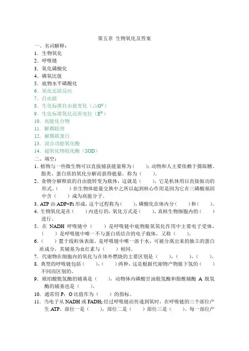第五章 生物氧化