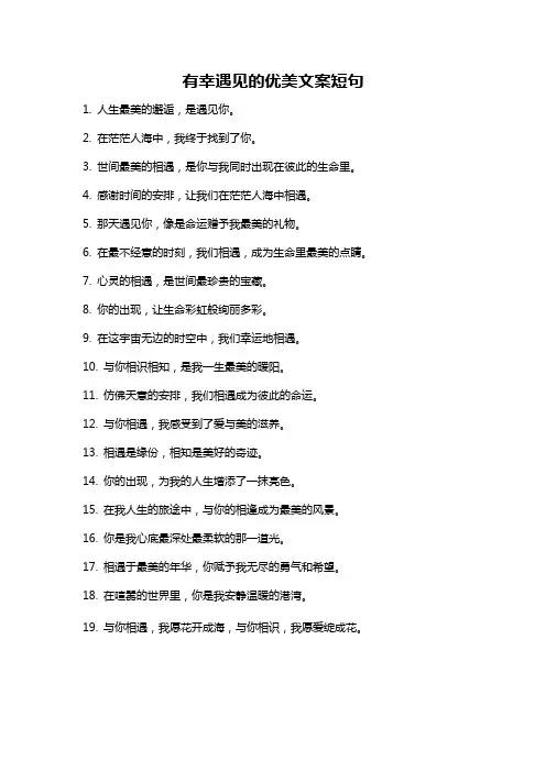 有幸遇见的优美文案短句