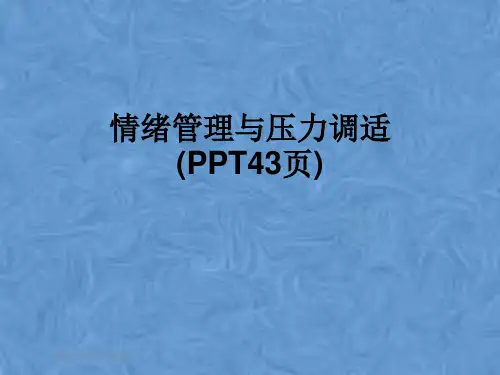 情绪管理与压力调适(PPT43页)