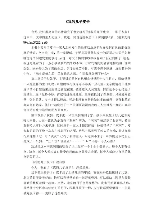 《我的儿子皮卡