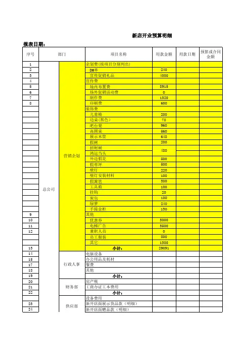 新店开业计划及费用预算表(终稿)