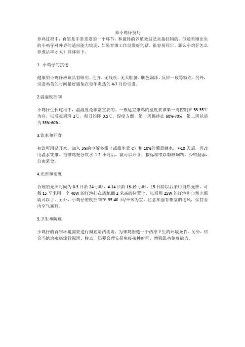 养小鸡仔技巧