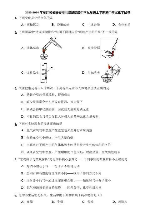 2023-2024学年江苏省淮安市洪泽湖初级中学九年级上学期期中考试化学试卷