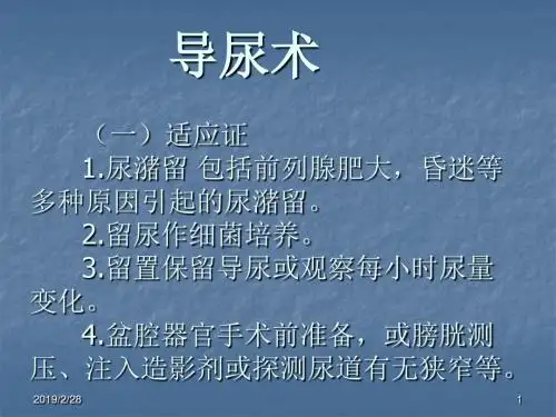 《导尿术》PPT课件-PPT精品文档