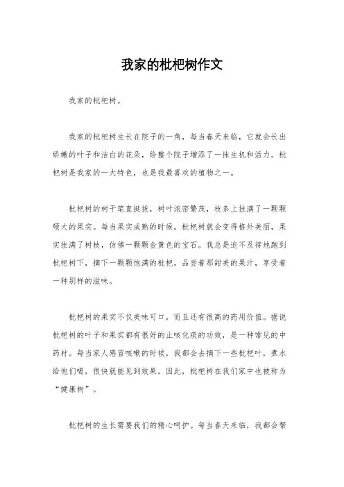 我家的枇杷树作文