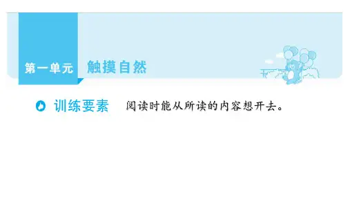 部编版语文六年级上册单元主题阅读第一单元触摸自然课件(55张PPT)