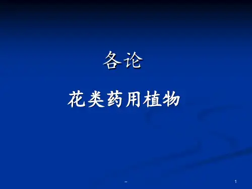 金银花演示文稿PPT课件