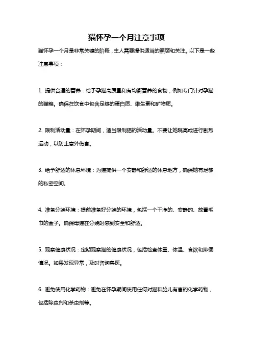 猫怀孕一个月注意事项