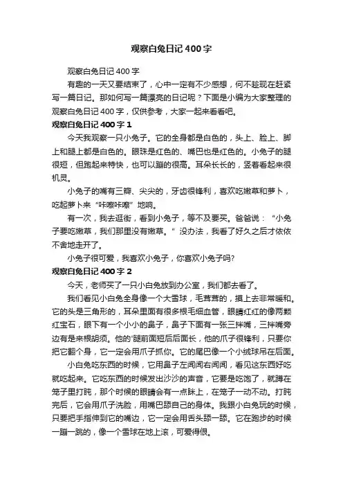 观察白兔日记400字