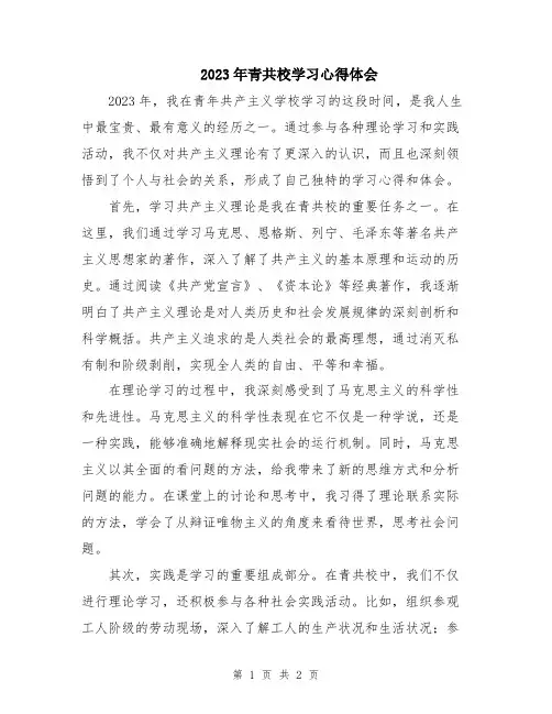 2023年青共校学习心得体会