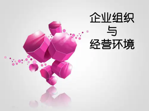 企业组织与经营环境