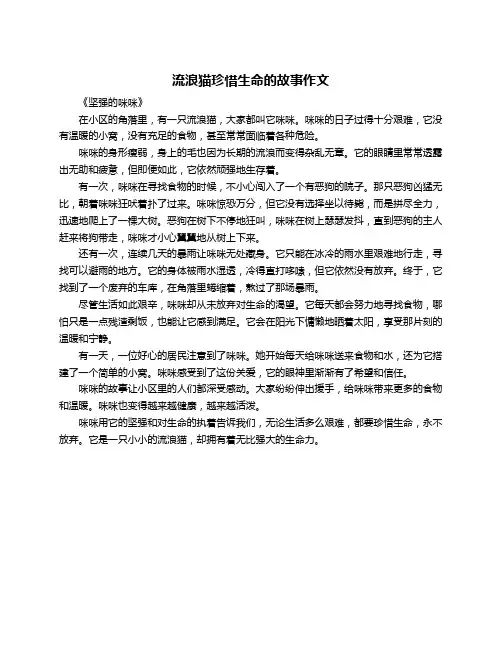 流浪猫珍惜生命的故事作文