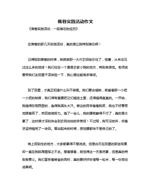 蒋巷实践活动作文