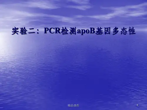 研究生实验PCR检测apoB基因多态性(1)